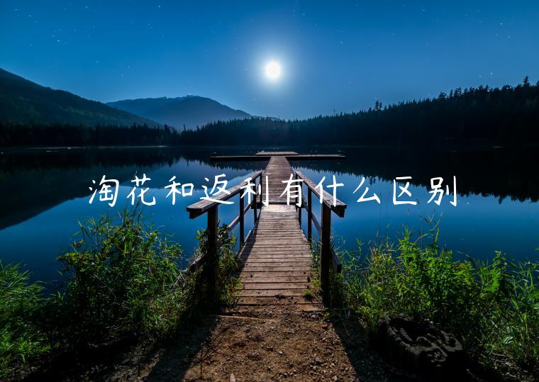 淘花和返利有什么區(qū)別